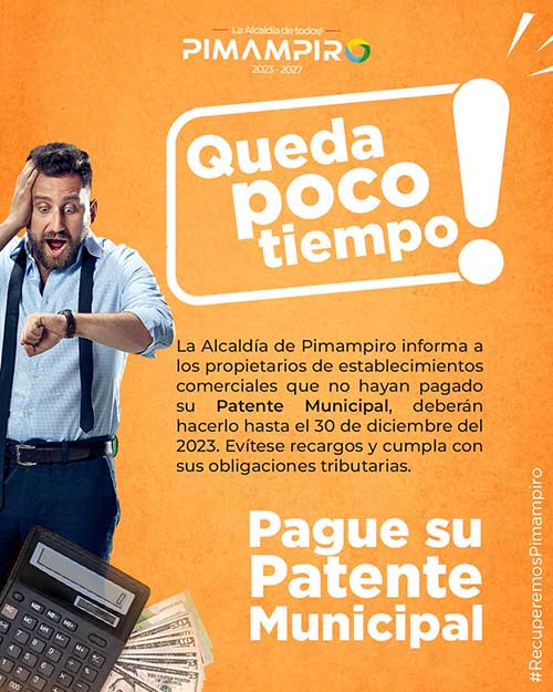 pago patentes